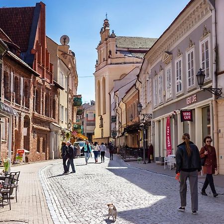 #Stayhere - Historic Vilnius Old Town Chic Studio Dış mekan fotoğraf