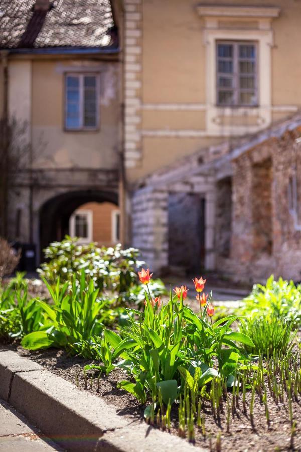 #Stayhere - Historic Vilnius Old Town Chic Studio Dış mekan fotoğraf